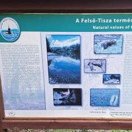 Petőfi fája Szatmárcseke - Egyéb