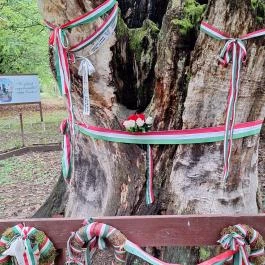 Petőfi fája Szatmárcseke - Külső kép