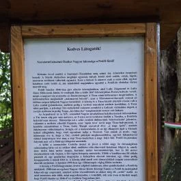 Petőfi fája Szatmárcseke - Egyéb