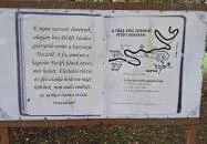 Petőfi fája Szatmárcseke