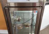 Petőfi Kávézó Lakitelek