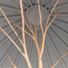 Petőfi Kávézó Lakitelek - Egyéb