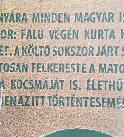 Petőfi Kurta Kocsmája