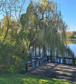 Petőfi Kurta Kocsmája