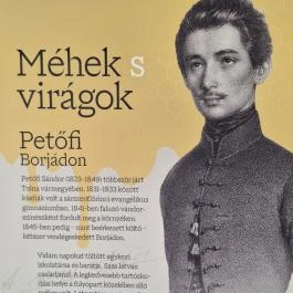 Petőfi Sándor Emlékméhes, Kölesd - Borjád - Egyéb
