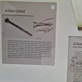 Petőfi Sándor Emlékméhes, Kölesd - Borjád - Egyéb