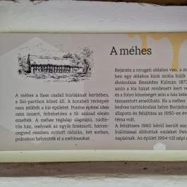 Petőfi Sándor Emlékméhes, Kölesd - Borjád - Egyéb