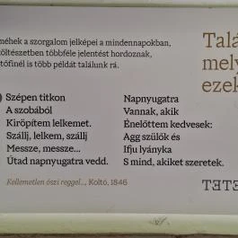 Petőfi Sándor Emlékméhes, Kölesd - Borjád - Egyéb