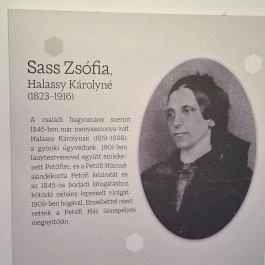 Petőfi Sándor Emlékméhes, Kölesd - Borjád - Egyéb