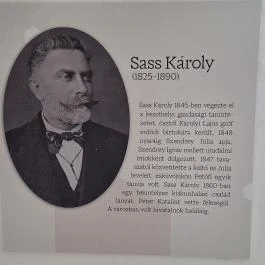 Petőfi Sándor Emlékméhes, Kölesd - Borjád - Egyéb