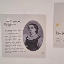 Petőfi Sándor Emlékméhes, Kölesd - Borjád - Egyéb