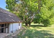 Petőfi Sándor Emlékméhes Kölesd - Borjád