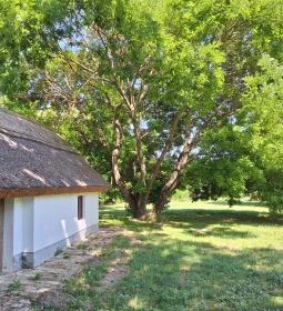 Petőfi Sándor Emlékméhes