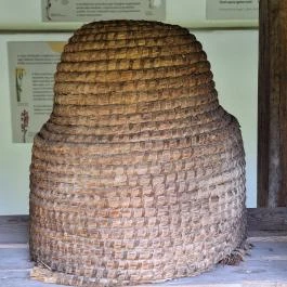 Petőfi Sándor Emlékméhes, Kölesd - Borjád - Egyéb