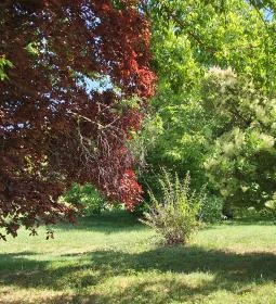 Petőfi Sándor Emlékméhes