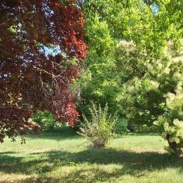 Petőfi Sándor Emlékméhes, Kölesd - Borjád - Külső kép