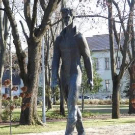 Petőfi Sándor szobra Győr - Külső kép