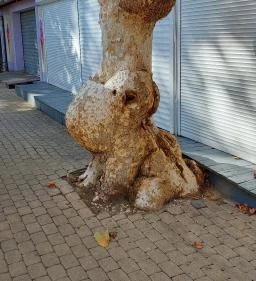 Petőfi Sétány Siófok