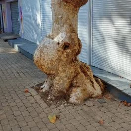 Petőfi Sétány Siófok, Siófok - Egyéb