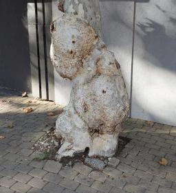 Petőfi Sétány Siófok