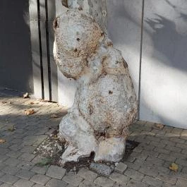 Petőfi Sétány Siófok, Siófok - Egyéb