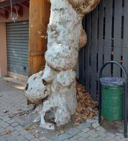 Petőfi Sétány Siófok