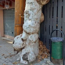 Petőfi Sétány Siófok, Siófok - Egyéb