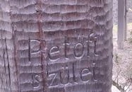 Petőfi Szülei emlékhely Maglód