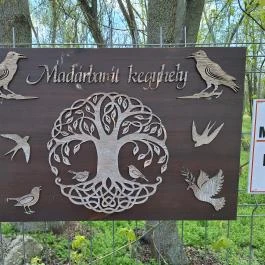 Petőfiszállás - Pálosszentkút kegyhely Petőfiszállás - Egyéb