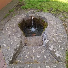 Petőfiszállás - Pálosszentkút kegyhely Petőfiszállás - Egyéb