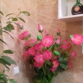 Pho 74 Budapest - Belső