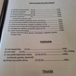 Piactéri Büfé-Étterem Jánoshalma - Étlap/itallap