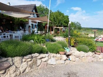 Picitmás Étterem & Manufaktúra Balatonszőlős