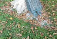 Pihenő asszony kecskével Törökbálint