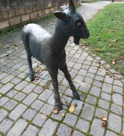 Pihenő asszony kecskével