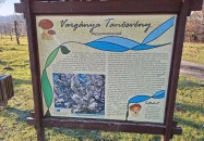 Pince múzeum Szilvágy