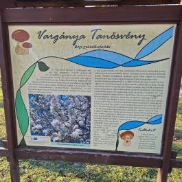 Pince múzeum, Szilvágy - Egyéb