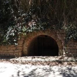 Pincesor Nyúl - Külső kép