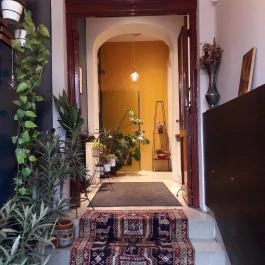 Pingrumba Budapest - Belső