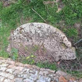 Piroska-féle szélmalom, Székkutas - Egyéb