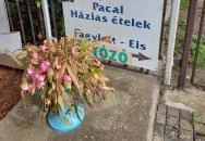 Pityóka Vendéglő Nagyberki