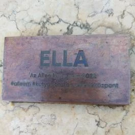 Plank Antal: Corgi miniszobor, Budapest - Egyéb