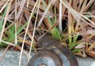 Plank Antal: Csigák miniszobrok Budapest