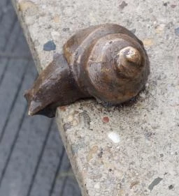 Plank Antal: Csigák miniszobrok