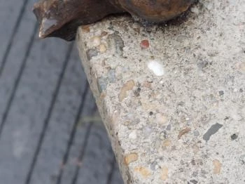 Plank Antal: Csigák miniszobrok Budapest