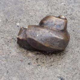 Plank Antal: Csigák miniszobrok, Budapest - Egyéb