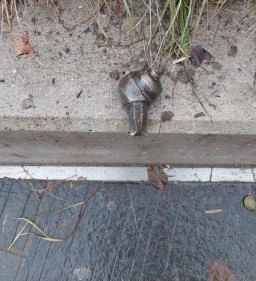 Plank Antal: Csigák miniszobrok