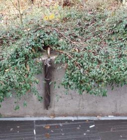 Plank Antal: Esernyő miniszobor