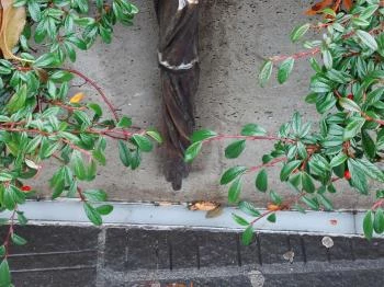 Plank Antal: Esernyő miniszobor Budapest