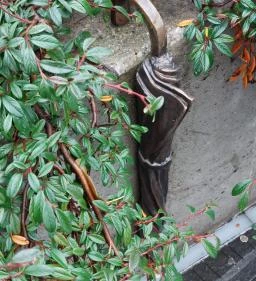 Plank Antal: Esernyő miniszobor